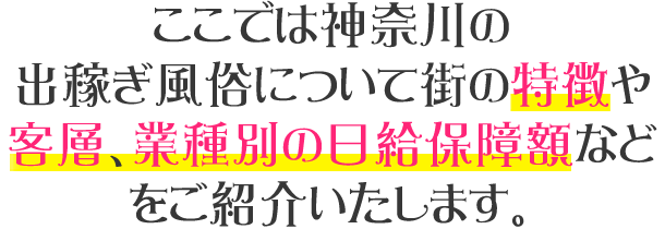 エリアの特徴や傾向