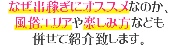 エリアの特徴や傾向